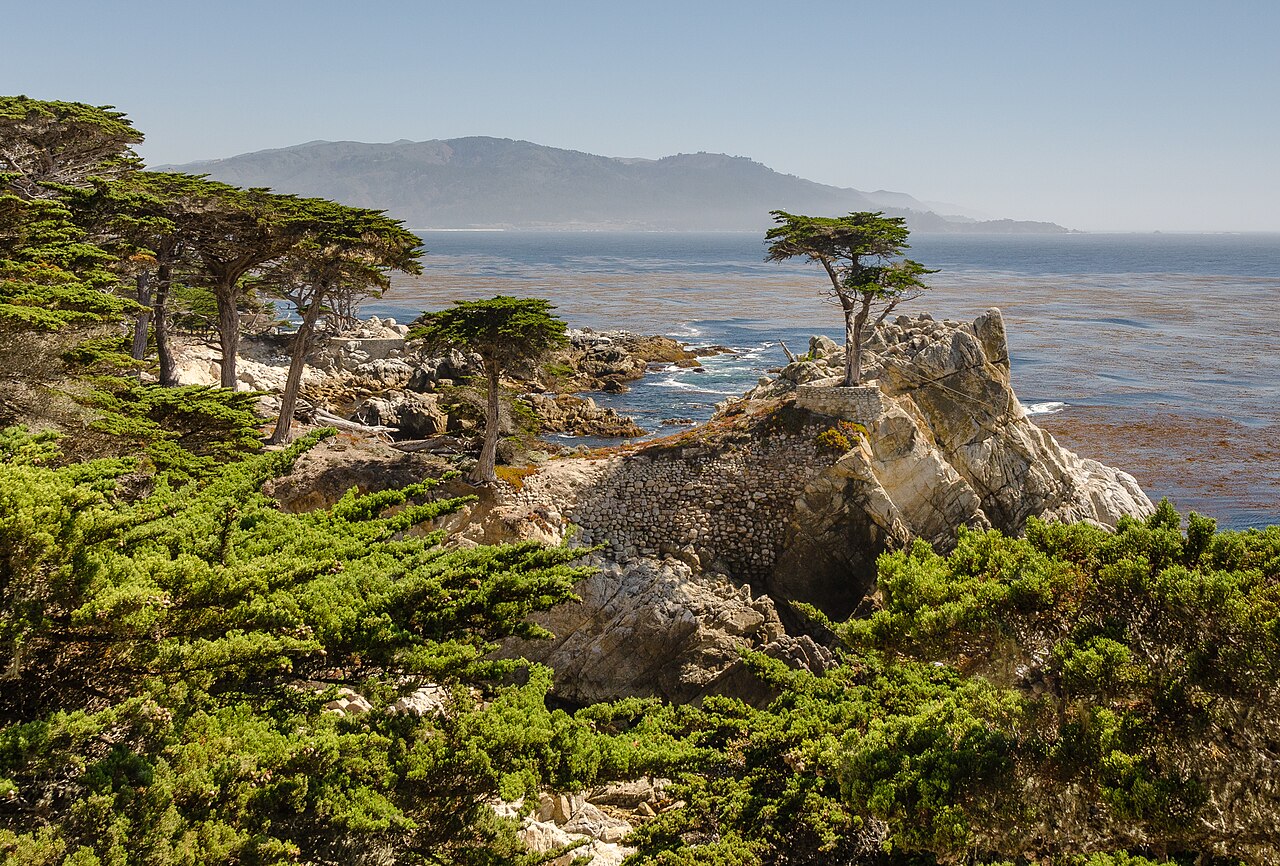 17-Mile Drive 海岸线